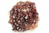 Top-Quality, Deep Red Vanadinite Crystal Cluster - Morocco #231837-1